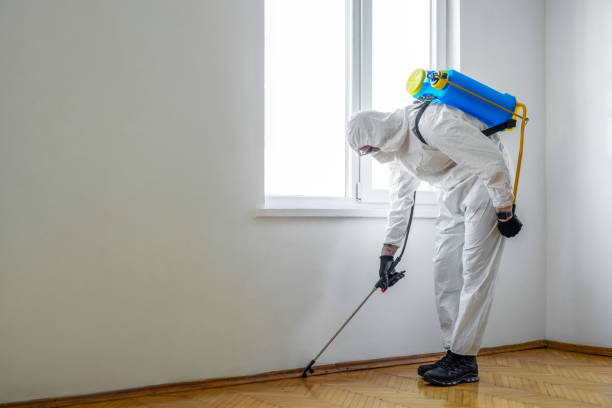 Reliable East Cleveland, TN Pest Control Solutions